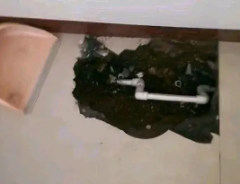 海城卫生间测漏水多少钱